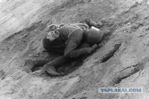 О боевых потерях Красной Армии в годы войны