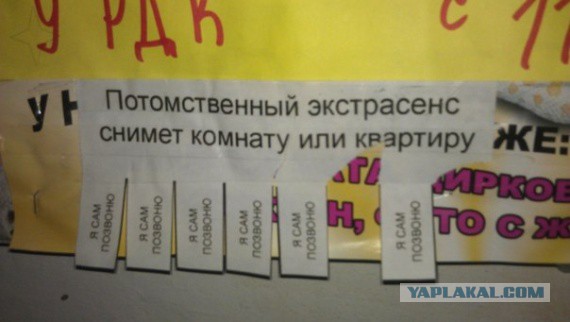 Идентификация лжепророка.