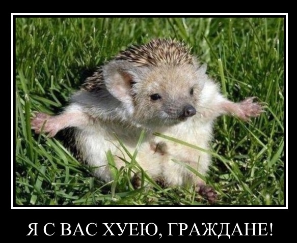 Предметы не для мастурбации
