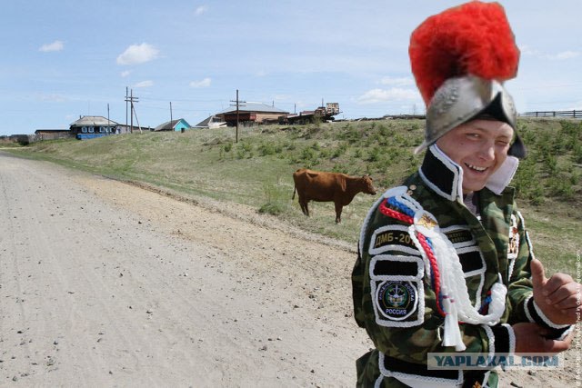 ДМБ 2012