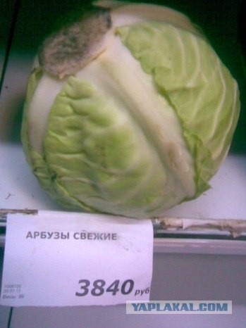 Фото с телефона