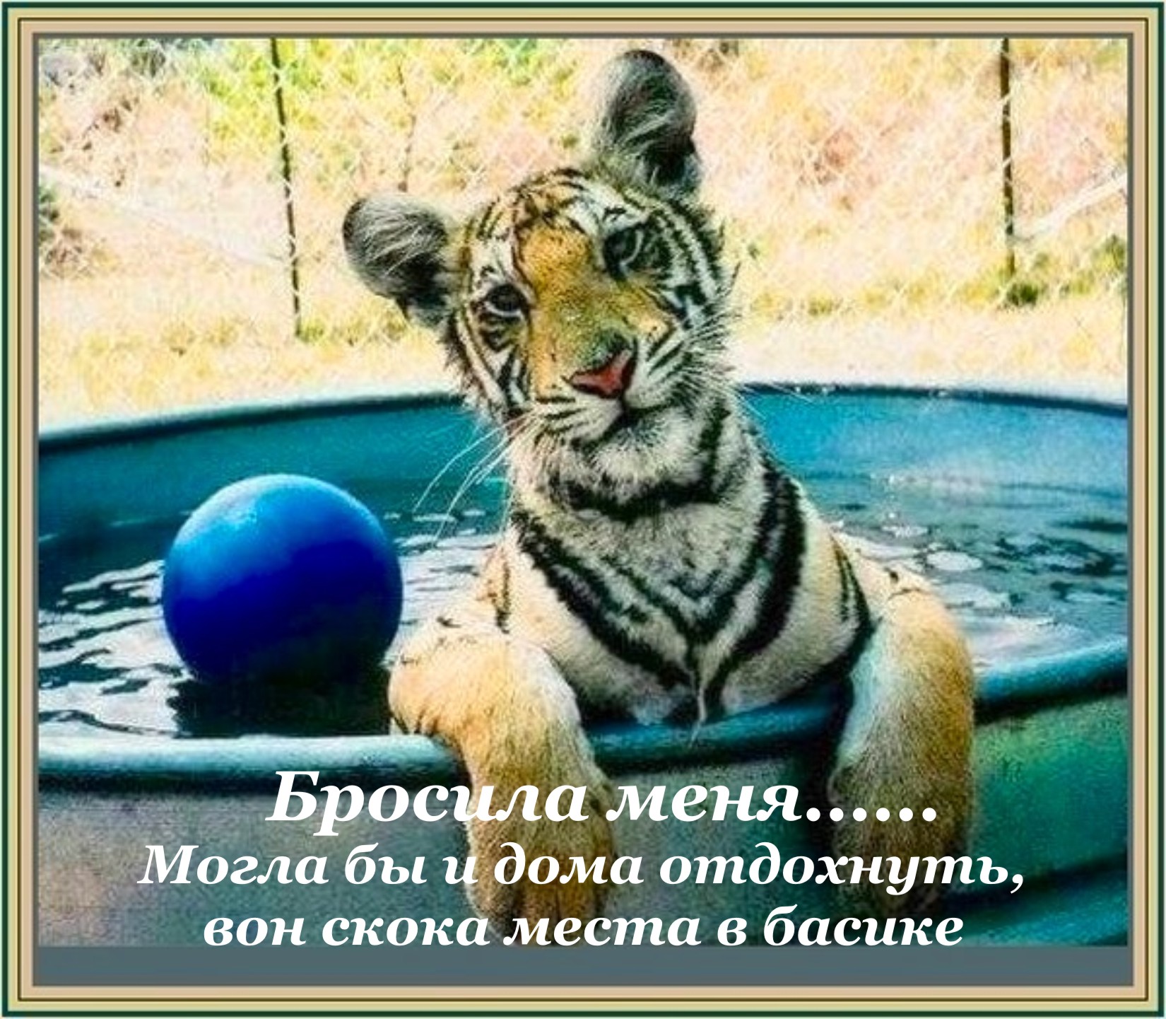 Танечка не плачь