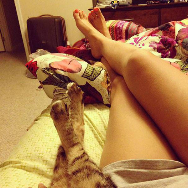 Подборка прикольных картинок из сети