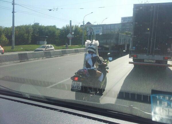 Вот как ездят на линейку в Новосибирске