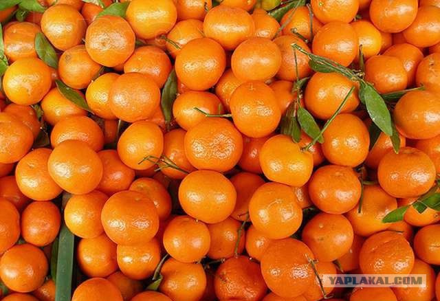 20 Продуктов, вызывающие привыкание