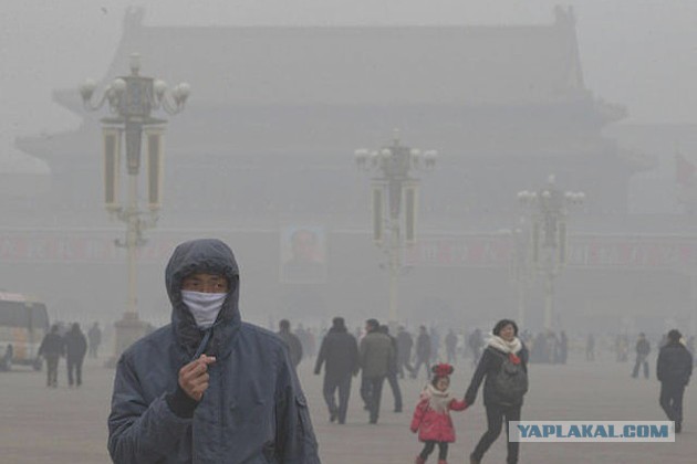 У меня есть мечта.