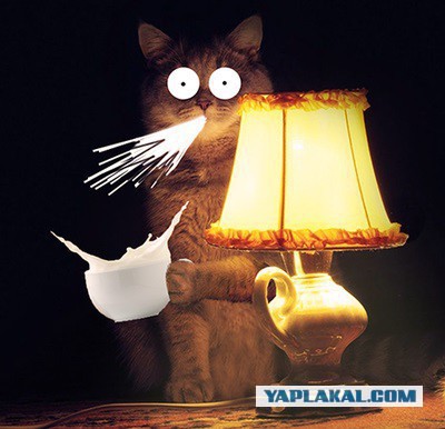 По весне обнаружил, что в моем сарае живут