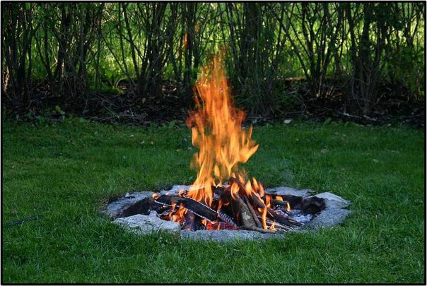 Интересные и веселые картинки