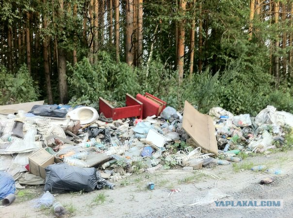 Слесарь из Воронежа Сергей Боярский каждую неделю вывозит мусор из леса