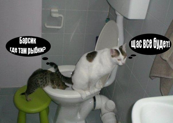 Всякое разное из интернета