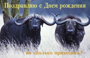 Киану Ривзу 52!