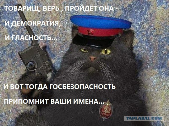 По следам постов о поборе "Платон", или условия труда дальнобойщиков