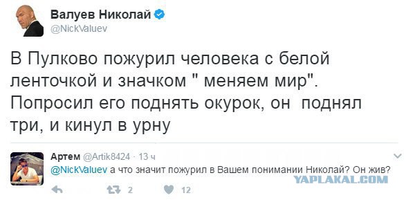 Валуев и кот Мостик