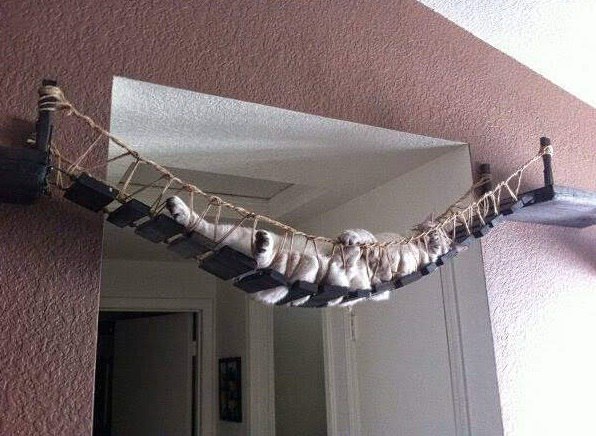 Котомайзинг