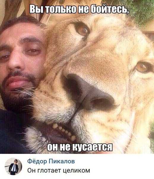 Нестандартный юмор