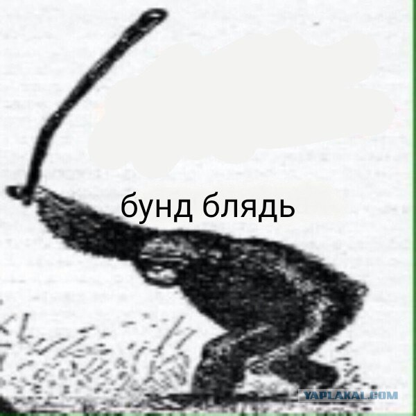 Правительство выбрало основной вариант повышения пенсионного возраста