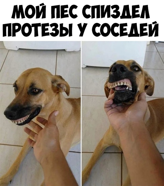 Немного картинок в эту среду