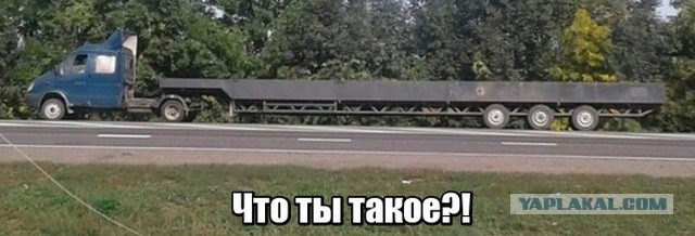 Прикольные картинки абавсём