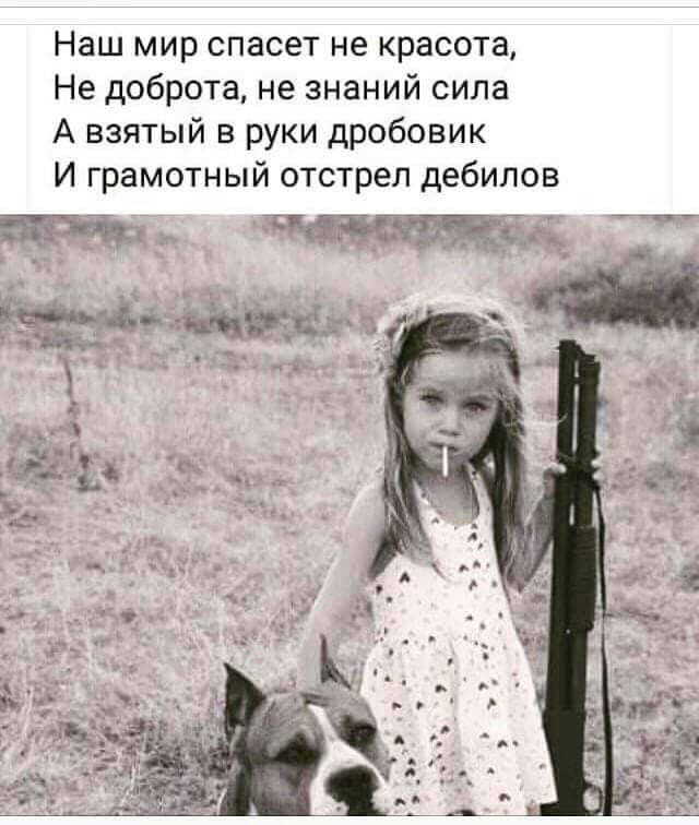 Дров не дали. Как жить бедному крестьянину?