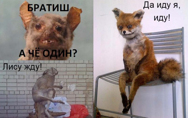 Алкопост на вечер этой пятницы