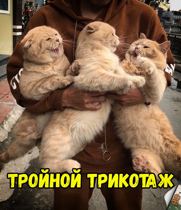 Нестандартный юмор