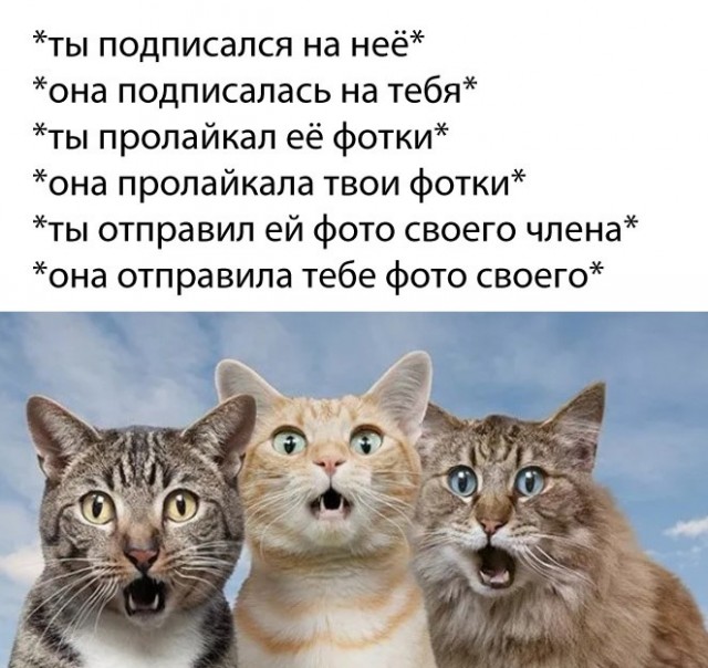 Не очень адекватный юмор