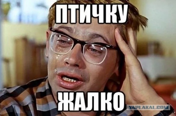 Петушара