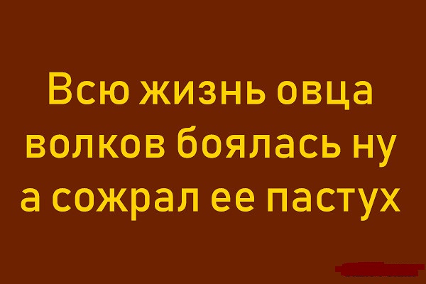 Разное на конец субботы