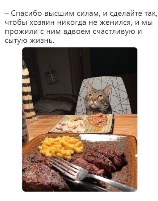 Отношение к одиноким мужчинам со стороны женщин