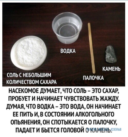 Бредзона 31.05.20