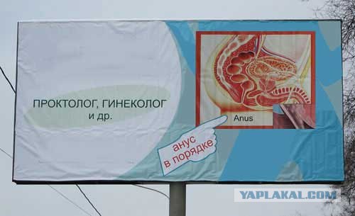 Орган работает! (8 фото)