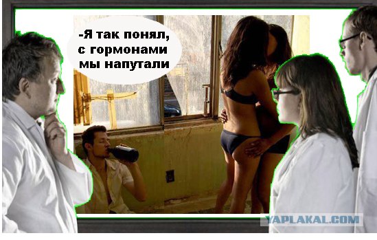 Фотожаба: Что увидели врачи?