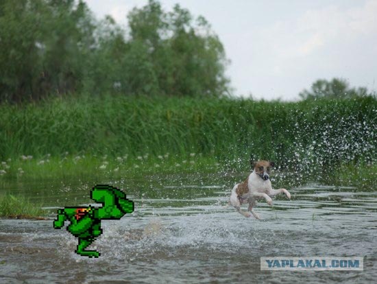Фотожаба: Волшебный пендаль