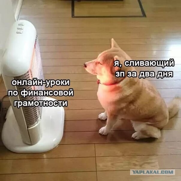 Картинки и мемы для настроения 021