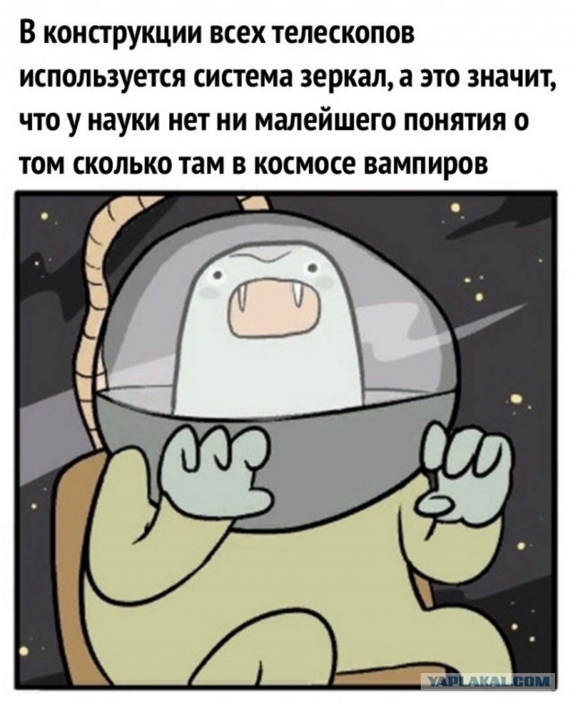Бредзона 10.01.21