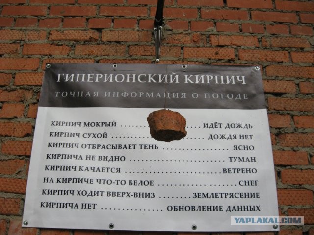 Как тебе такое, Илон Макс