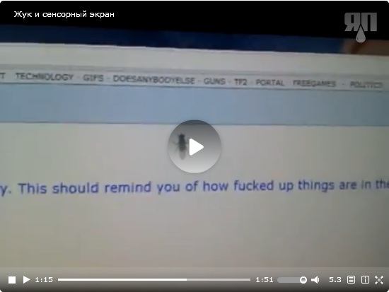 Жук и сенсорный экран