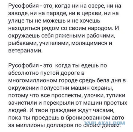 В Горно-Алтайске полицейские выгоняли людей с пешеходных переходов, чтобы дать спокойно проехать кортежу Мишустина