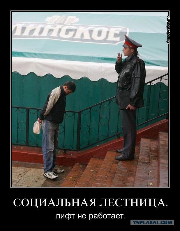 Торчки жёстко прутся