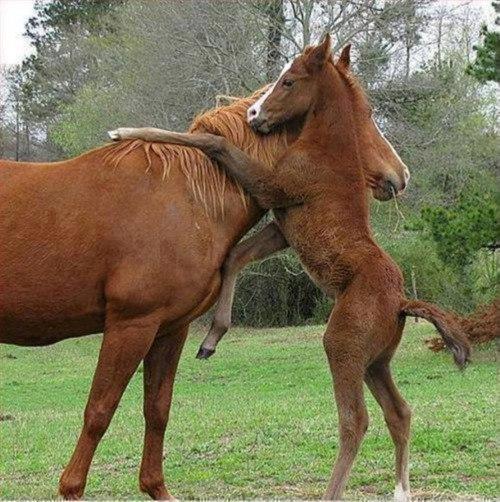 Добрые картинки 28.11.20