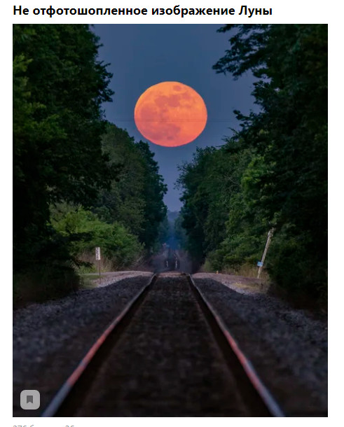 Насохранял