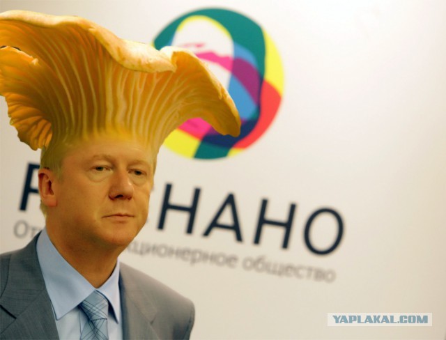 Против Навального возбудили новое уголовное дело