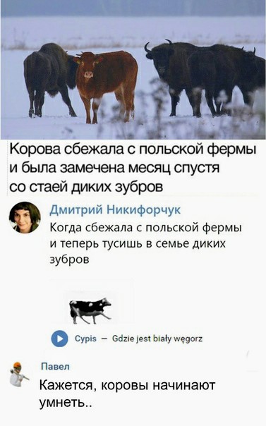 Картинки и мемы для настроения 26.05.2021