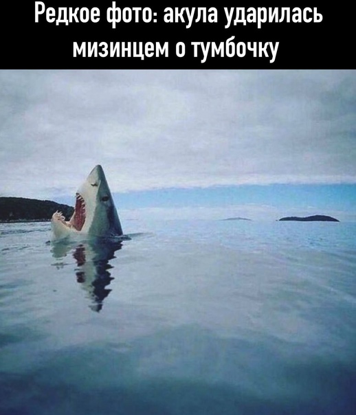 Картинки на вчера