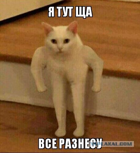 В Питере отменили концерт группы «Ногу свело!» и её лидер Максим Покровский обвинил в этом певца ртом Диму Билана.