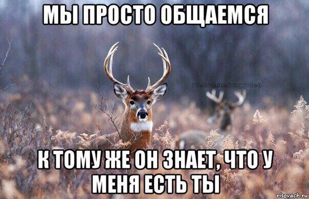 Хохо. Хотите оленьих страданий? Их есть у меня!