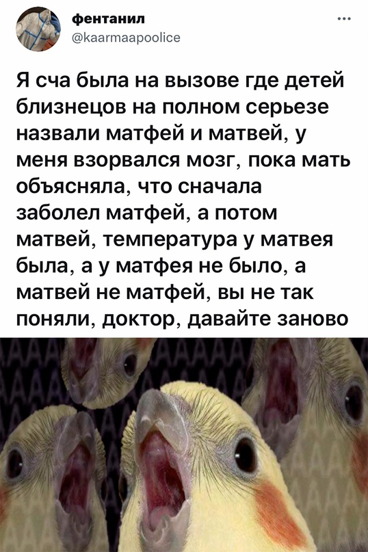 Картинки и мемы для настроения 03.11.2021