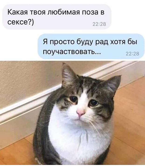 Картинки - не картинки. Смешные - не смешные 2