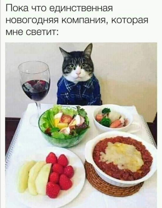 Спать давай!