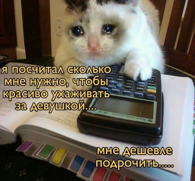 Мрак, пошлятина, политота и баяны, всё как вы любите, дорогие деграданты
